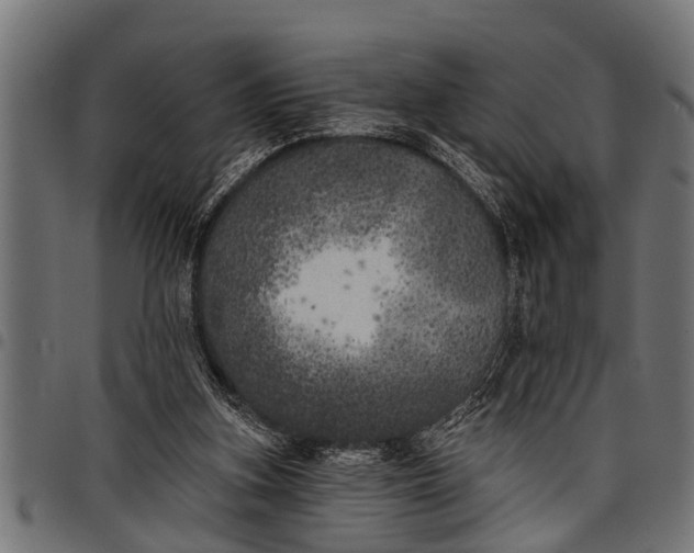 X0000097810155200803281106