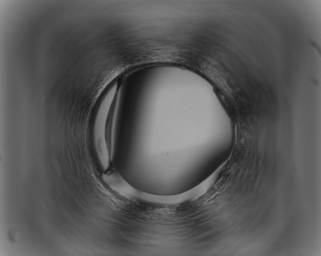 X0000097810156200803281106