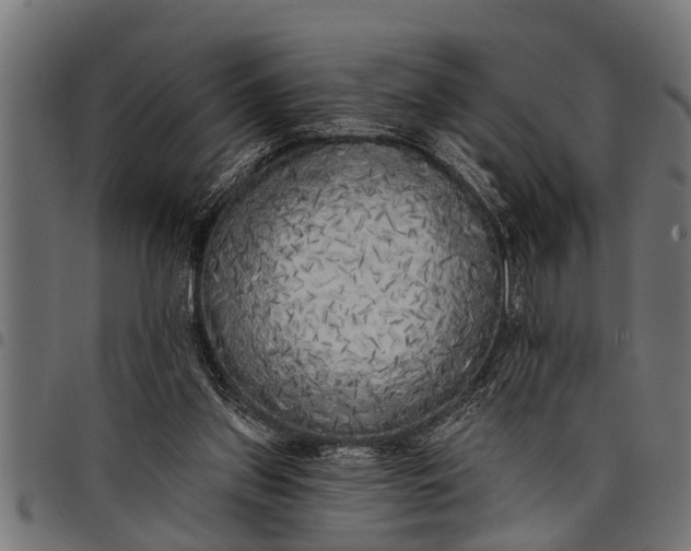 X0000097810157200803281106