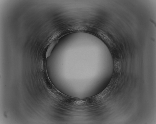 X0000097810158200803281106