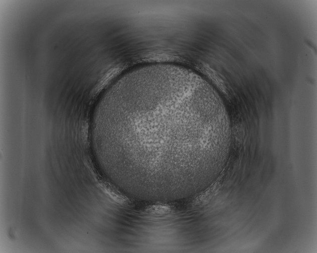 X0000097810159200803281106