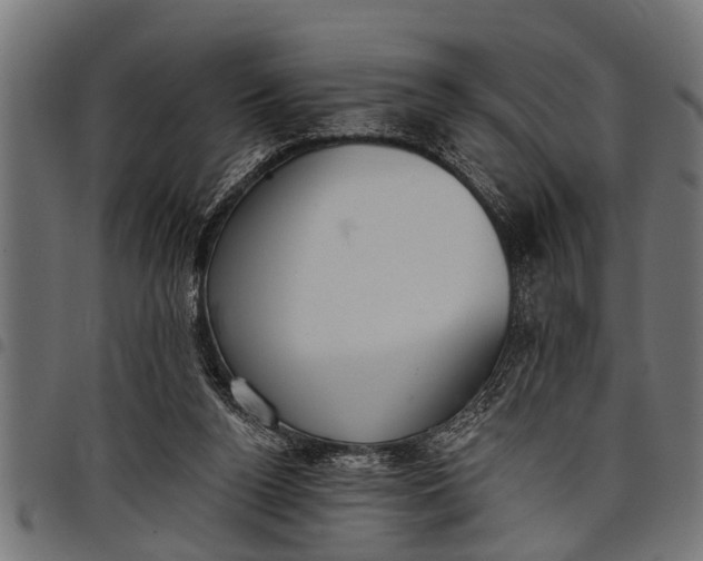 X0000097810160200803281106