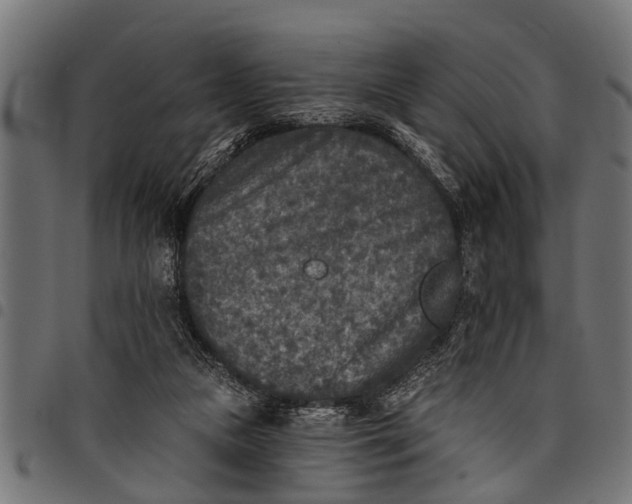 X0000097810161200803281106