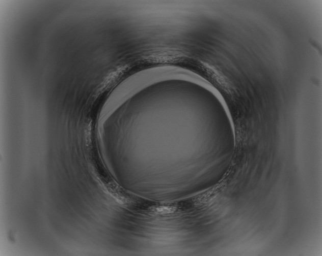 X0000097810163200803281106