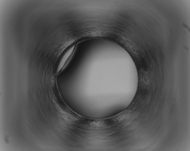 X0000097810164200803281107