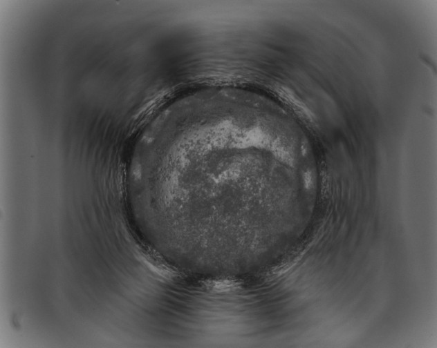 X0000097810165200803281107