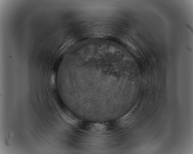 X0000097810166200803281107