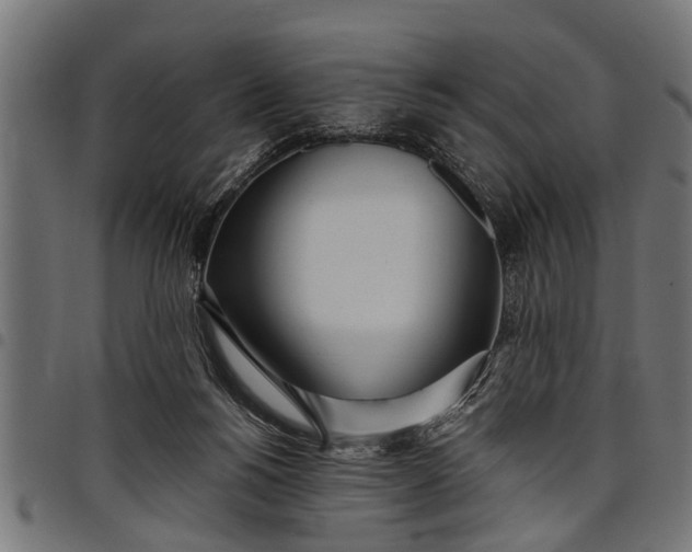 X0000097810168200803281107