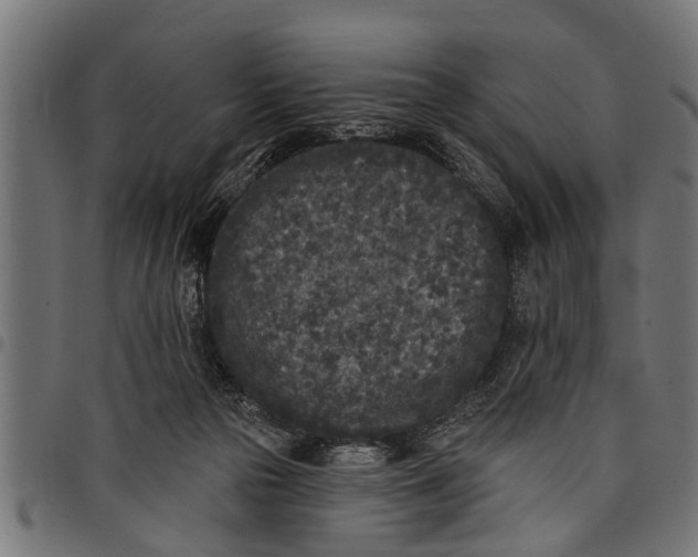 X0000097810169200803281107