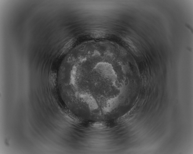 X0000097810171200803281107