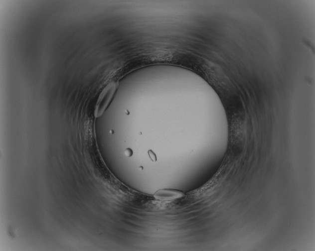 X0000097810172200803281107