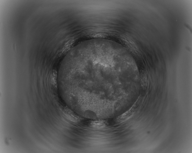 X0000097810175200803281107