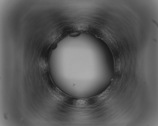 X0000097810176200803281107