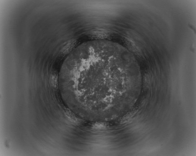 X0000097810177200803281107