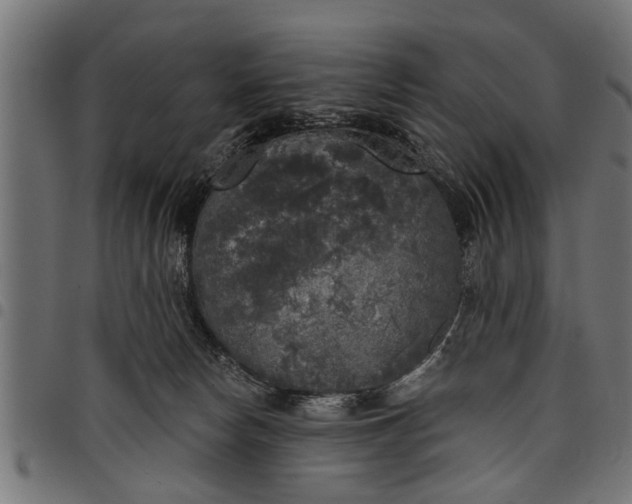 X0000097810178200803281107