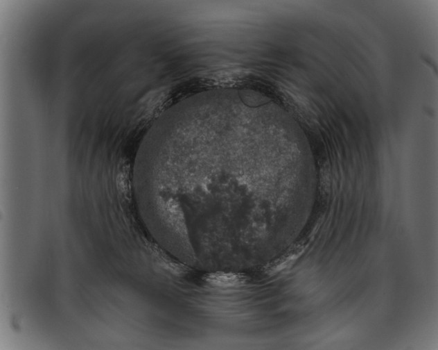 X0000097810181200803281107