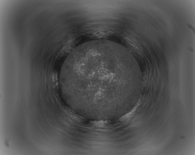 X0000097810182200803281107