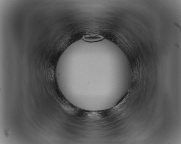 X0000097810183200803281107