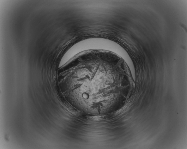 X0000097810184200803281107