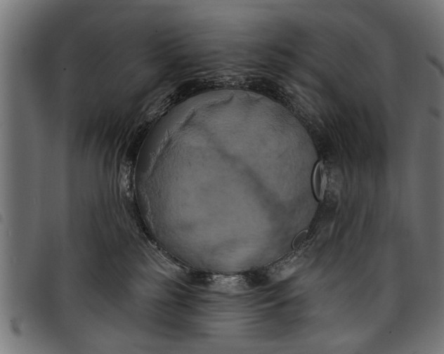 X0000097810185200803281107