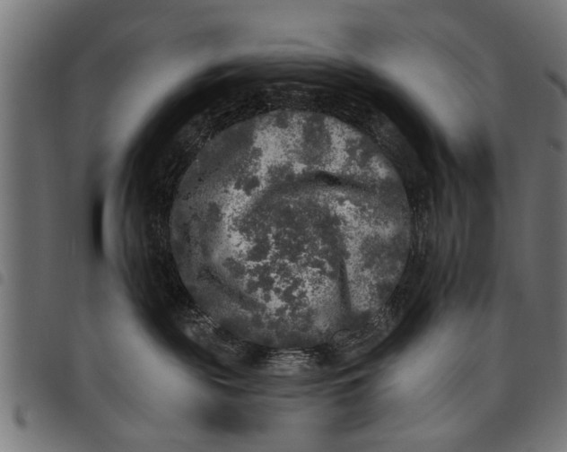 X0000097810189200803281107