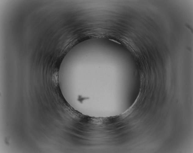 X0000097810190200803281107