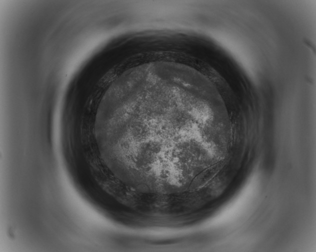 X0000097810191200803281107