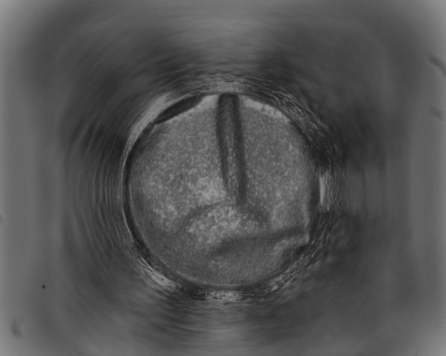 X0000097810195200803281106