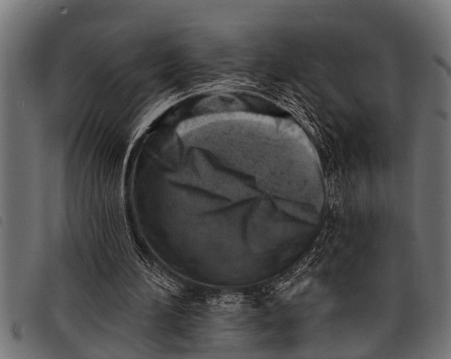 X0000097810196200803281106