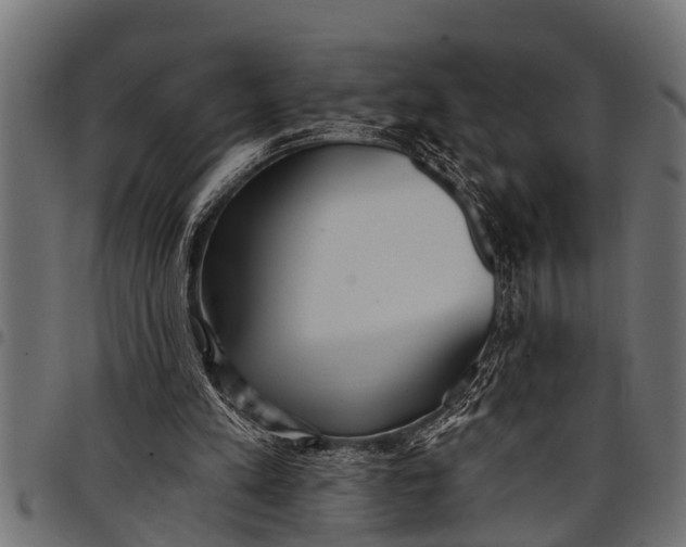 X0000097810197200803281106