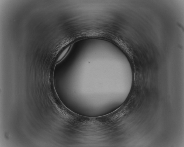 X0000097810201200803281106