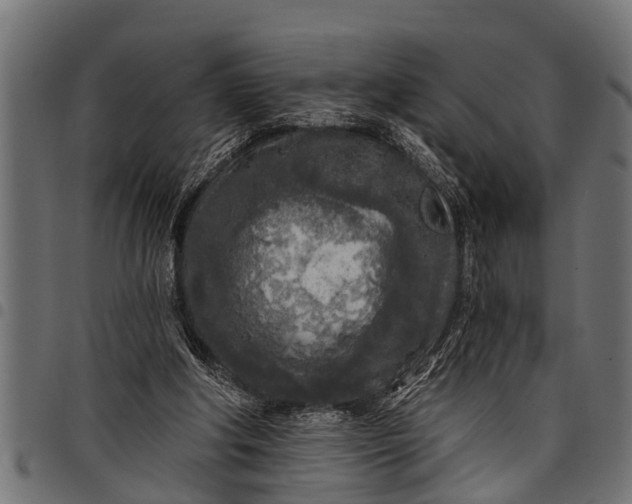 X0000097810202200803281106