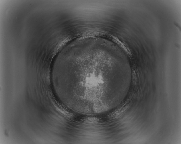 X0000097810203200803281106