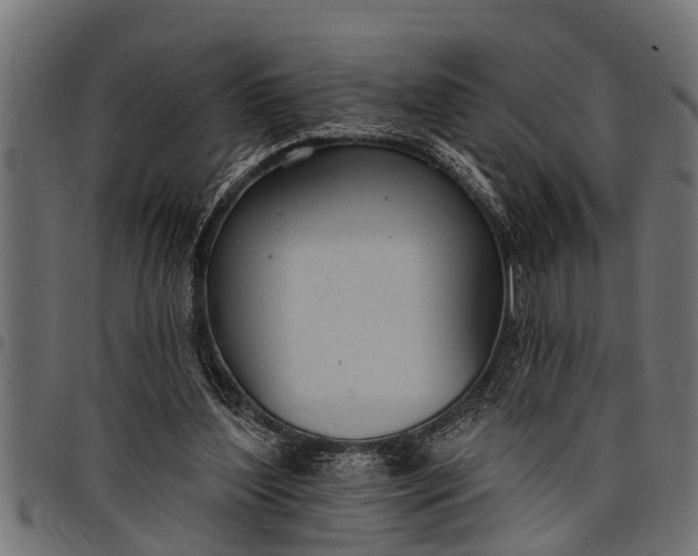 X0000097810204200803281106