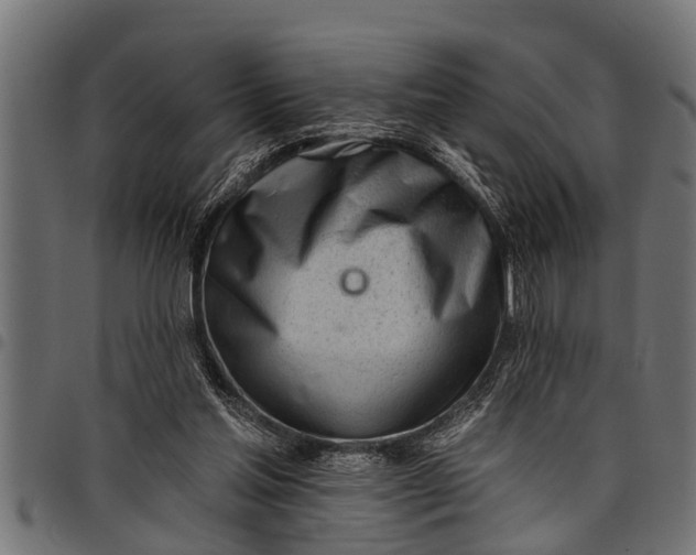 X0000097810205200803281106