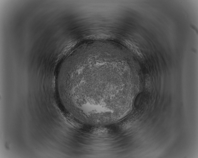 X0000097810206200803281106