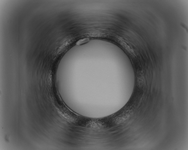 X0000097810207200803281106