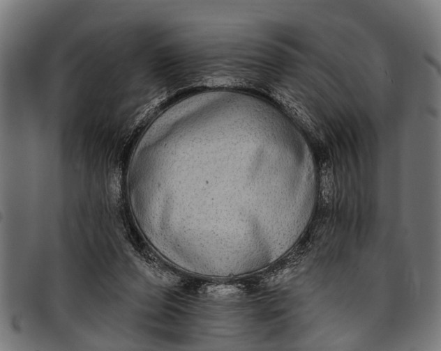 X0000097810208200803281106