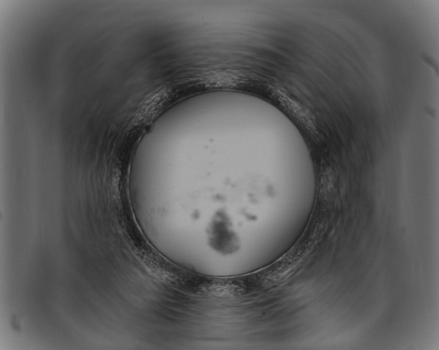 X0000097810209200803281106