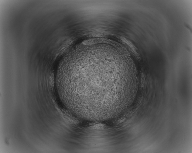 X0000097810210200803281106