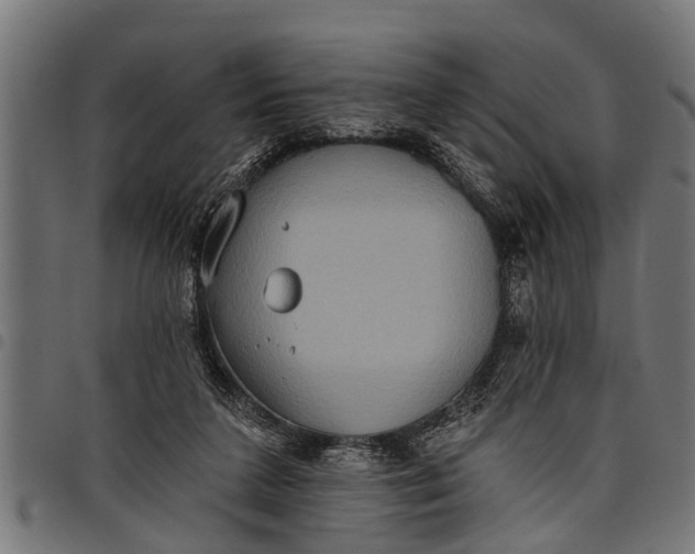 X0000097810211200803281106