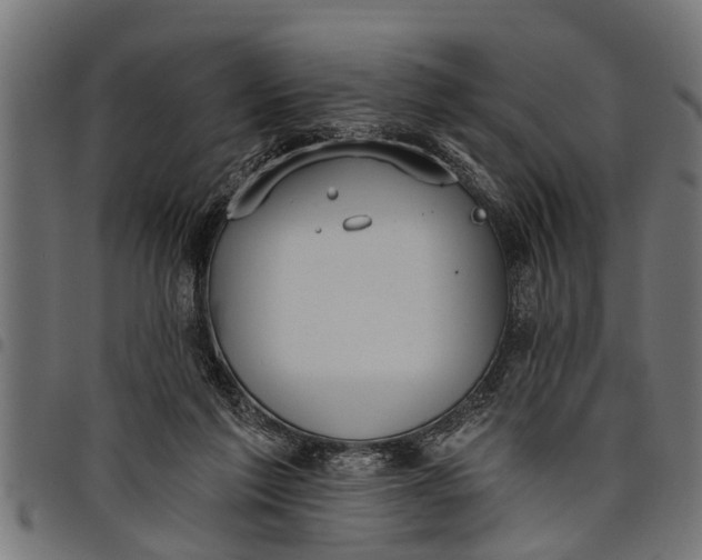 X0000097810213200803281106