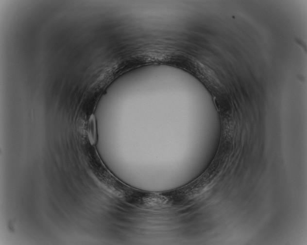 X0000097810215200803281106