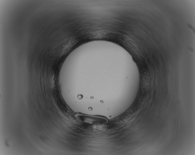 X0000097810216200803281106