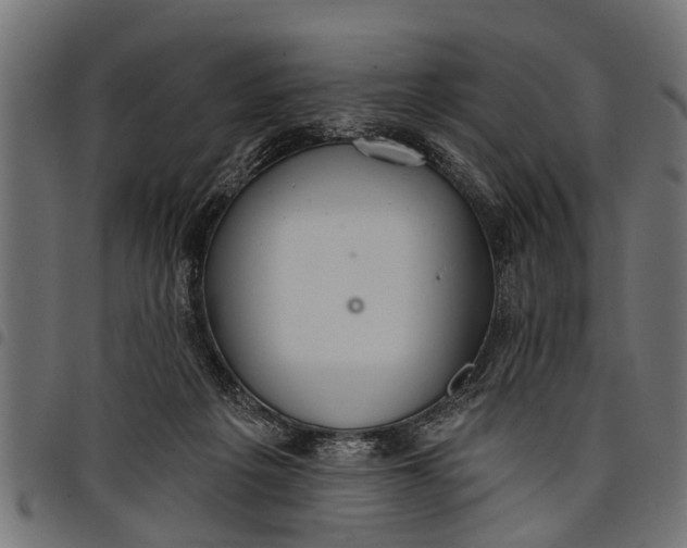 X0000097810217200803281106