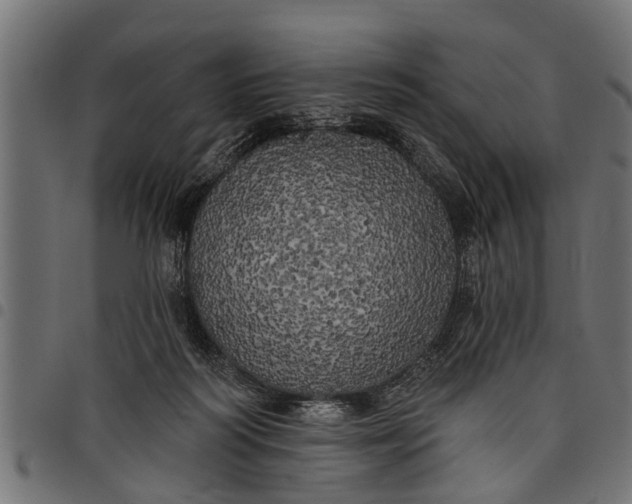 X0000097810218200803281106