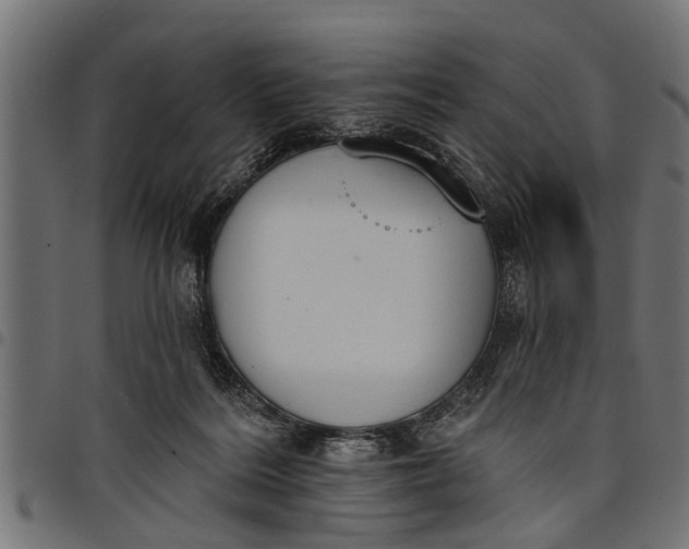 X0000097810220200803281106