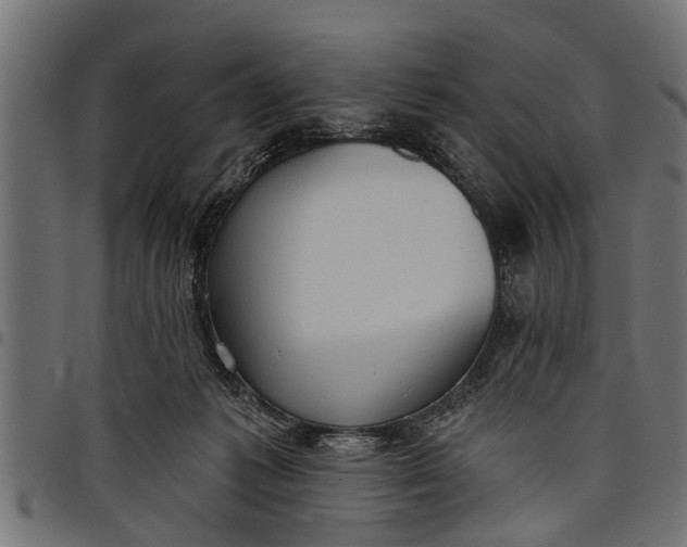 X0000097810221200803281106