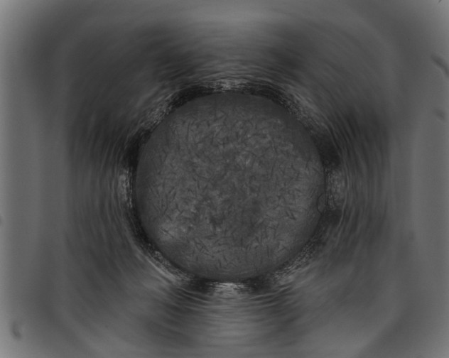 X0000097810222200803281106