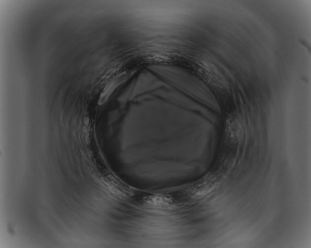 X0000097810223200803281106